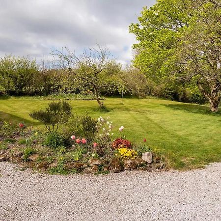 Llys Onnen - North Wales Holiday Cottage Молд Экстерьер фото