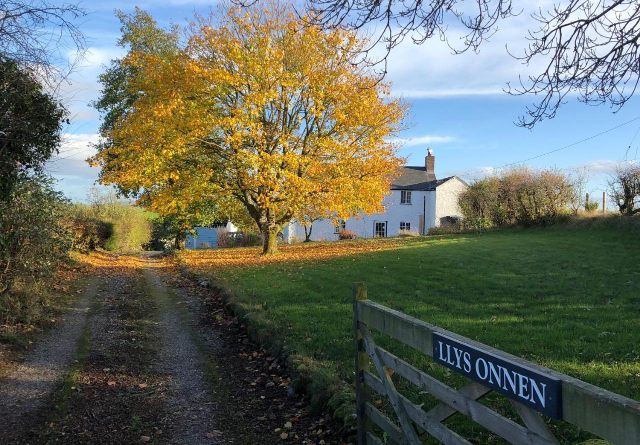 Llys Onnen - North Wales Holiday Cottage Молд Экстерьер фото