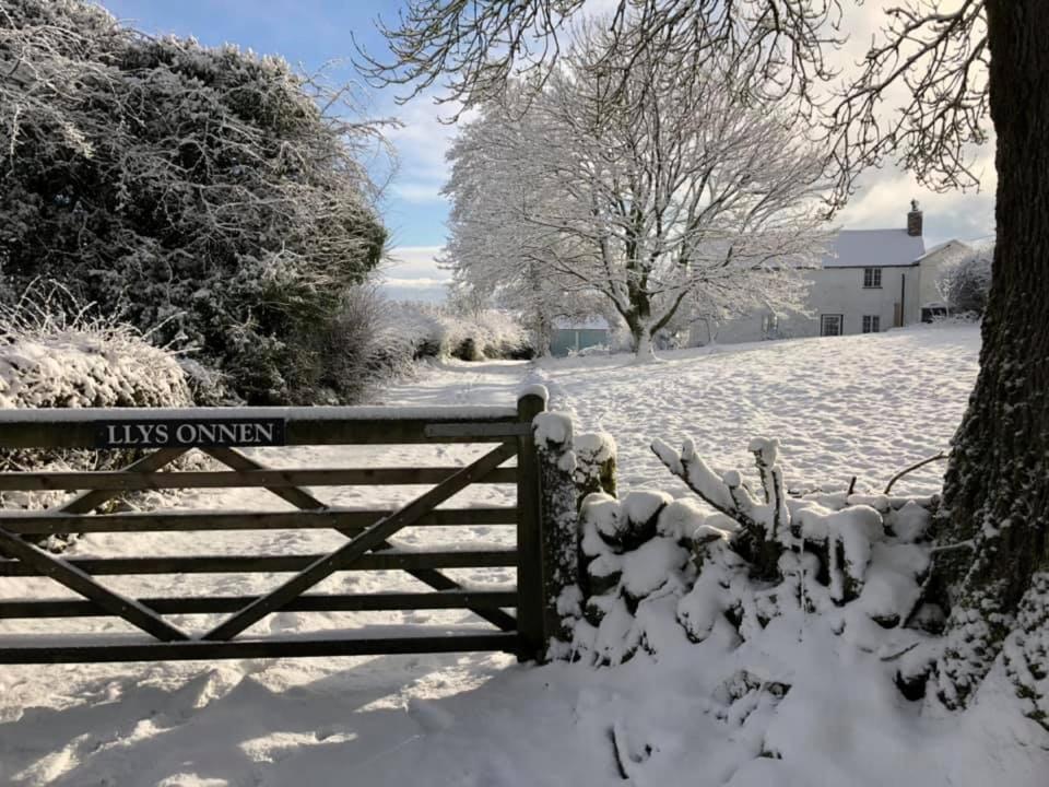 Llys Onnen - North Wales Holiday Cottage Молд Экстерьер фото