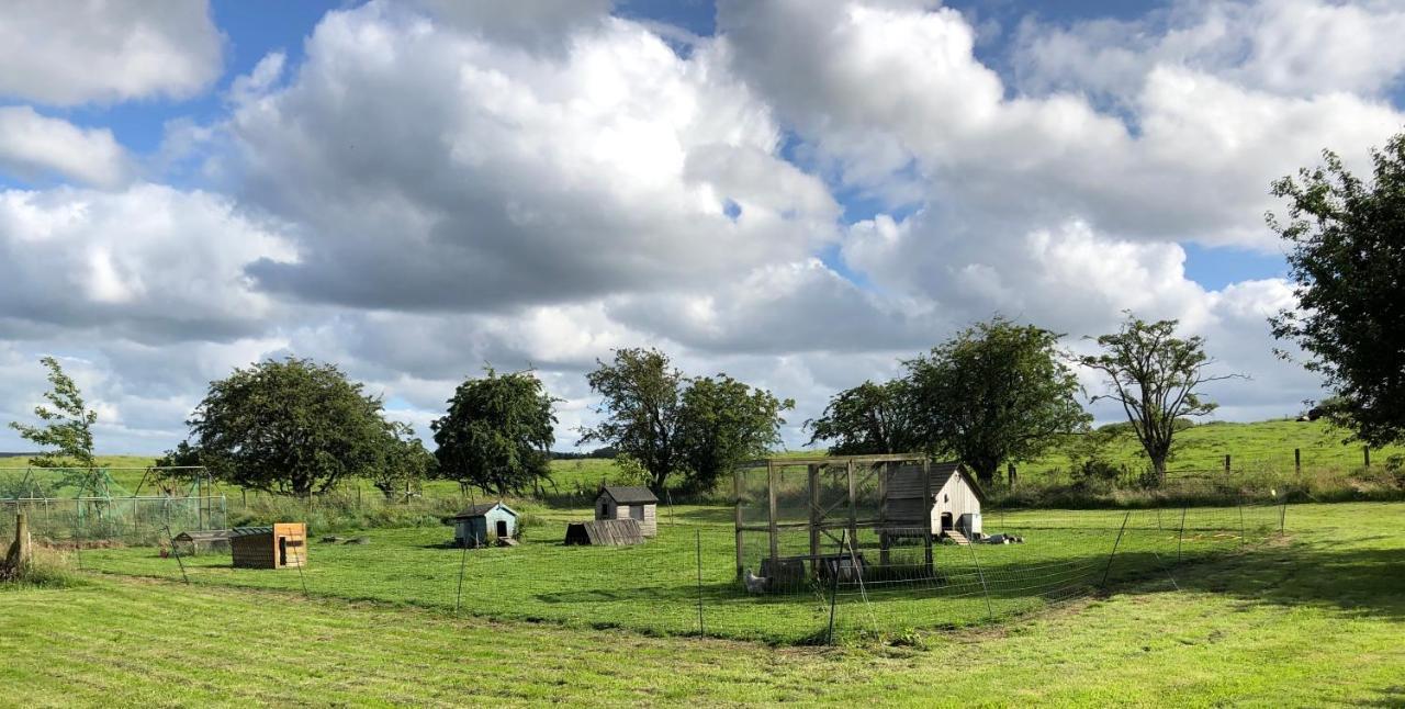 Llys Onnen - North Wales Holiday Cottage Молд Экстерьер фото
