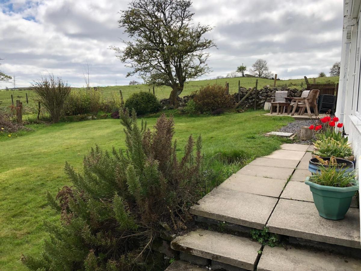 Llys Onnen - North Wales Holiday Cottage Молд Экстерьер фото